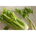 Celery Extract